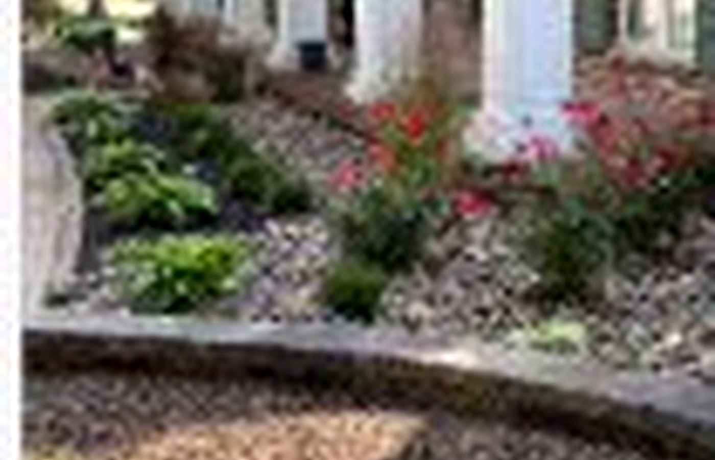 Mulched flower bed with plants
