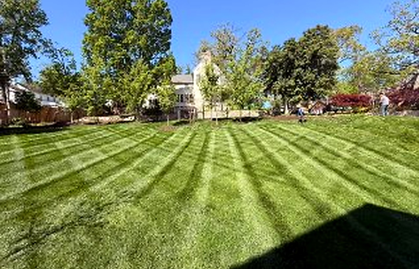 Clear lawn care service photo