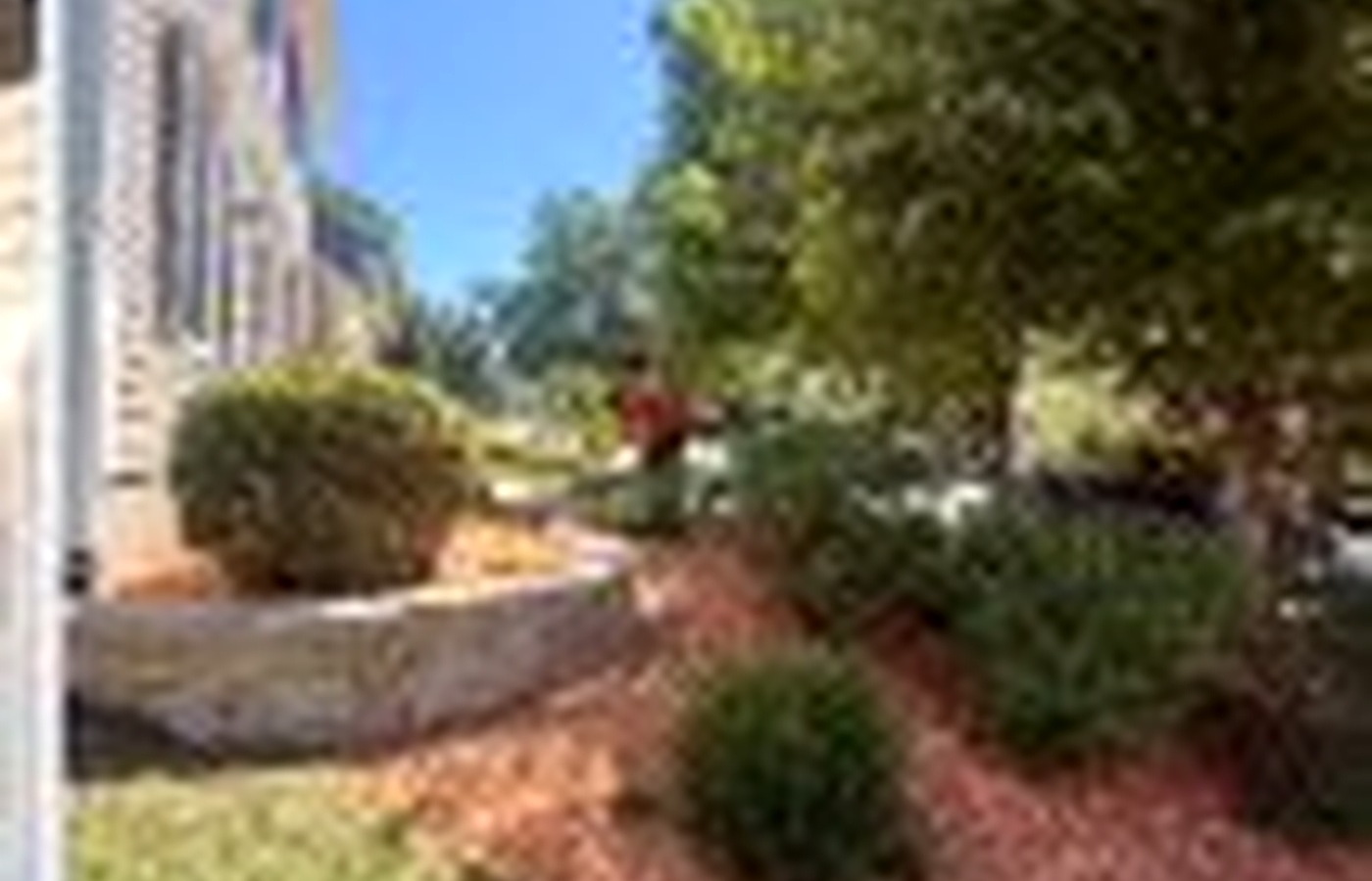Clear seasonal cleanup landscaping photo